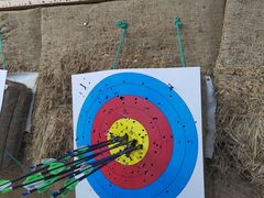 -道顺射箭·团建·骑射(张杨路店)