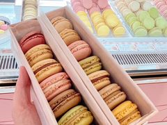 -Pierre Marcolini(德基广场店)