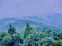-北京西山国家森林公园