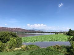 -西昌邛海湿地