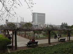-嘉定紫藤园