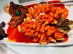 松鼠桂鱼-松鹤楼(狮山永利广场店)
