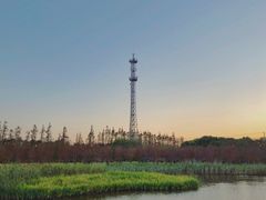 -上海长兴岛郊野公园