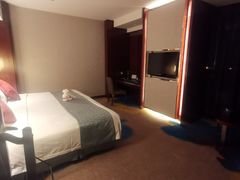 -常州环球恐龙城维景国际大酒店