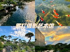 -罗红摄影艺术馆