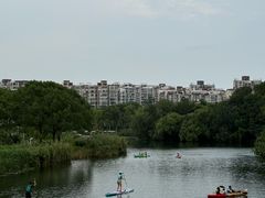 -新江湾城公园