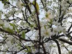 -北京西山国家森林公园