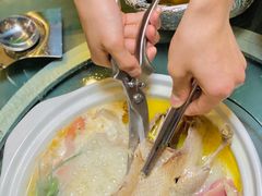 -金龙·打边炉(南京西路店)