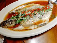 -老江南春·中国龙菜(衡山路店)