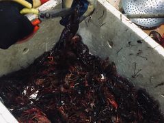 -熊记虾王·小龙虾(东晓南店)