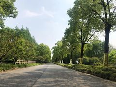 -上海海湾国家森林公园
