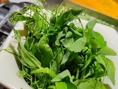 豌豆苗-海底捞火锅(群星城店)