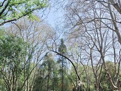 -赭山公园