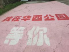 -华西村