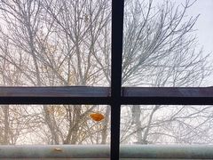 -VOYAGE COFFEE(北锣鼓巷店)