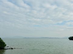 -深圳湾公园(南山区)
