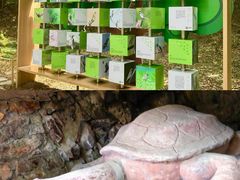 -上海佘山国家森林公园天马山园