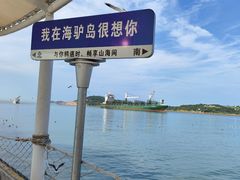 景点-海驴岛(荣成市)