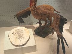 -辽宁古生物博物馆