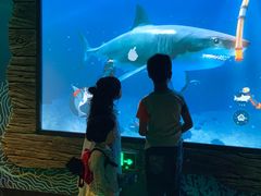 -沈阳海洋探索中心