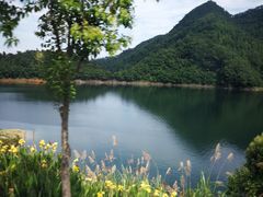 -千岛湖龙川湾