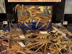 -蟹道乐(道顿堀本店)