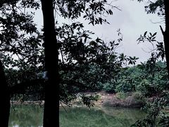 -大屏嶂森林公园