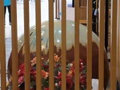 -菊上料理(蜀山银泰百货店)