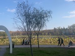 -长春市南湖公园