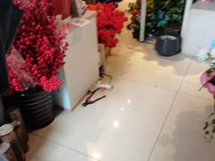 -双季花艺园艺市场(浦东店)