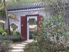 -大亚湾红树林城市湿地公园