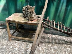 -齐齐哈尔龙沙动植物园