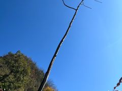 -高荡千年布依古寨旅游景区