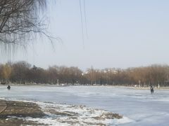 -泰丰公园