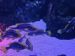 -正佳极地海洋世界