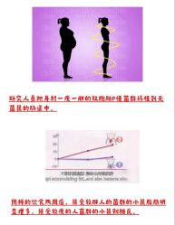 -Fundi张玉珊修身堂·indiba·BTL科技瘦身