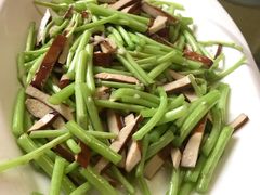 -丁老爷子苏香圆