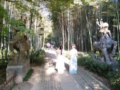 -西湖风景区十里琅珰-五云山