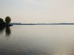 -丁香湖公园