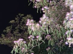 -独一道·邵伯龙虾土菜馆·烧烤(雨花西路店)