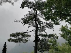 -崆峒山景区