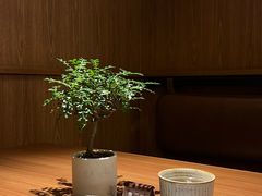 -CURRY YA 熟成咖哩專門店(深圳湾万象城店)