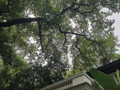 -湖北美术学院(昙华林校区)