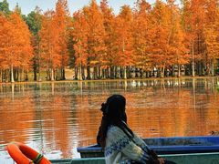 -白鹭湾湿地公园