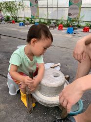 -前小桔亲子创意农场·草莓采摘·露营烧烤