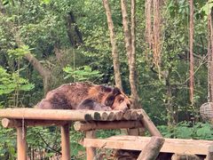 -广州长隆野生动物世界