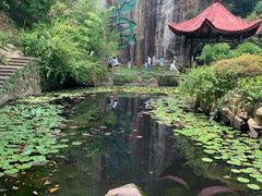 -莫干山风景区