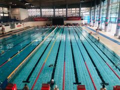 -南山文体中心-游泳馆