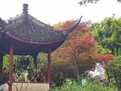 -上海醉白池公园