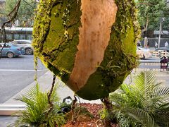 -精绝七日-新疆尼雅遗址数字大展【拉法耶文化艺术中心】